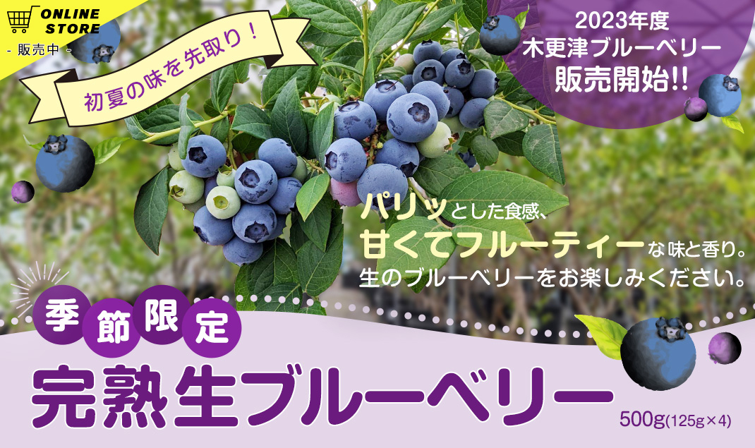 通販「完熟生ブルーベリー」