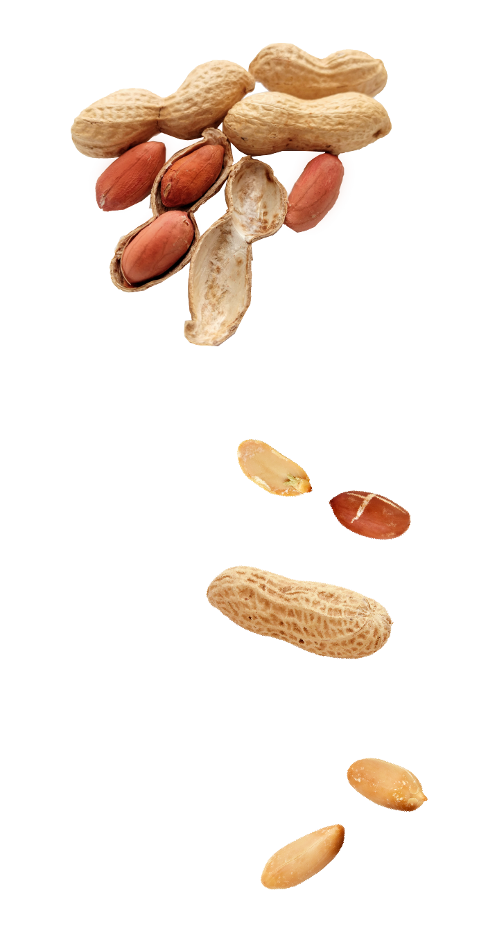 ザクザクピーナッツ