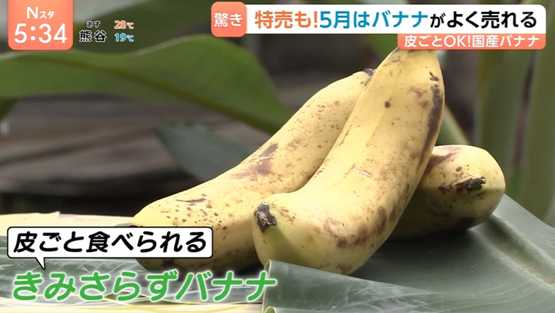 TBSテレビ「Nスタ」